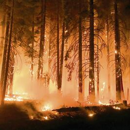 Prevén controlar fuego de "Camp" a fin de mes 