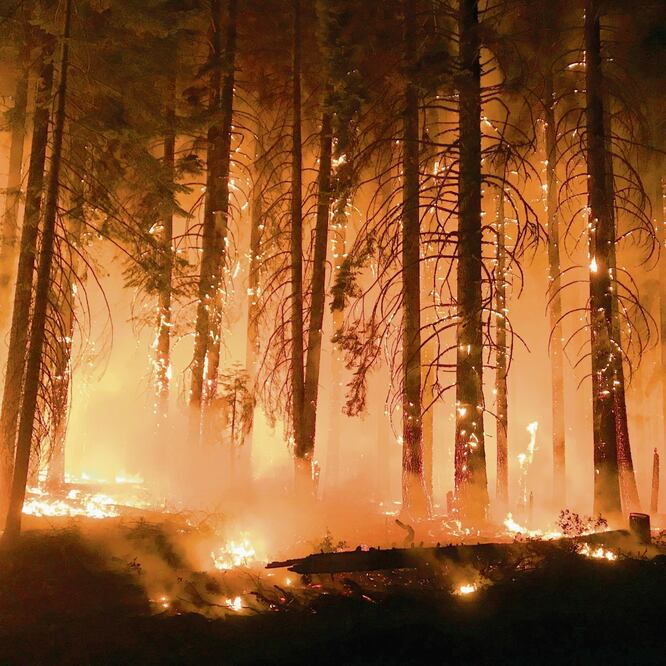 El fuego continuaba avanzando ayer en California, y pese a las condiciones meteorológicas adversas pronosticadas, los bomberos siguieron trabajando. (EFE)