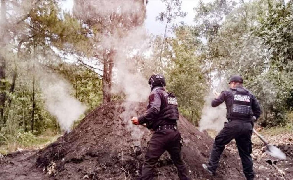 Policía Forestal destruye 11 hornos clandestinos en Puebla; combaten procesamiento ilegal de madera.
Foto: Especial.