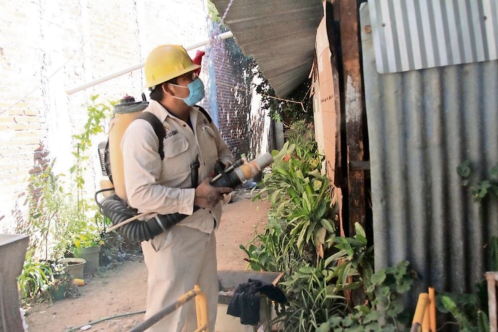 El legislador del PRI, Ángel García Yáñez, solicitó al gobernador de Morelos, Cuauhtémoc Blanco, que a través de la Secretaría de Salud fortalezca las acciones de prevención, vigilancia, control y fumigación continua contra mosquitos / Foto: Archivo