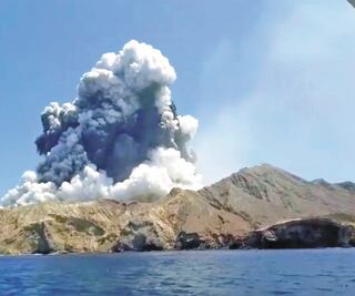 Horror en Nueva Zelanda tras erupción volcánica