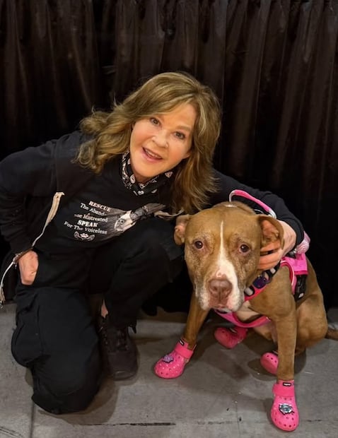 Linda Blair se ha dedicado al rescate de animales y perros por más de dos décadas, desde que fundó oficialmente su organización sin fines de lucro en 2003.