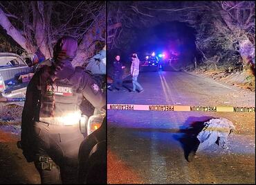 Cocodrilo provoca accidente fatal en El Dorado, Sinaloa; hay 3 personas muertas