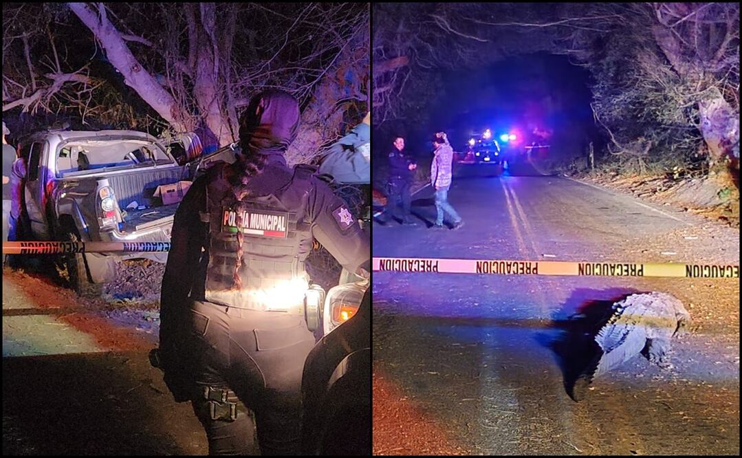 El enorme reptil sufrió la amputación de su cola y patas, por lo que la Procuraduría Federal de Protección al Ambiente investiga lo sucedido ya que es una especie protegida. Foto: Especial