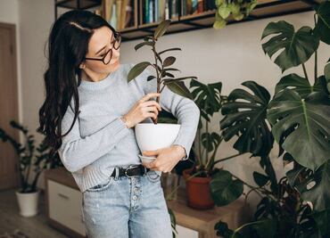 Las plantas emiten sonidos de alta frecuencia cuando están en peligro: expertos