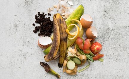 Basura orgánica, fuente de vida para la humanidad