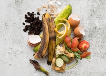 Basura orgánica, fuente de vida para la humanidad