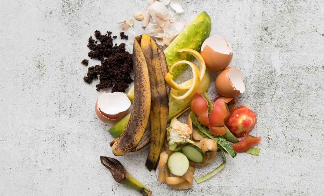 Gestión mundial de desechos orgánicos. (17/02/2025) Foto: Especial