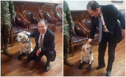 Alfonso Durazo presume que conoció a la perrita “Frida”