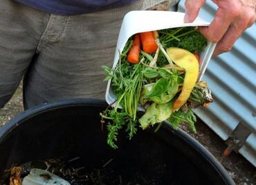 Con desperdicios de alimentos buscan erradicar el hambre en el país