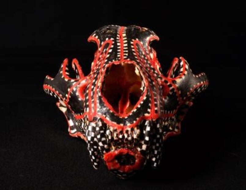 Artistas plásticos de Oaxaca apoyan preservación del jaguar