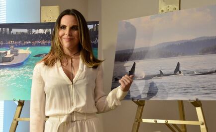 Acuario critica a Kate del Castillo por campaña para liberar a orca