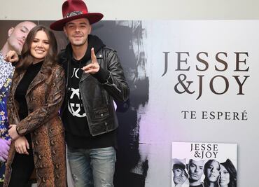 ¿Quién es Jesse y quién es Joy?