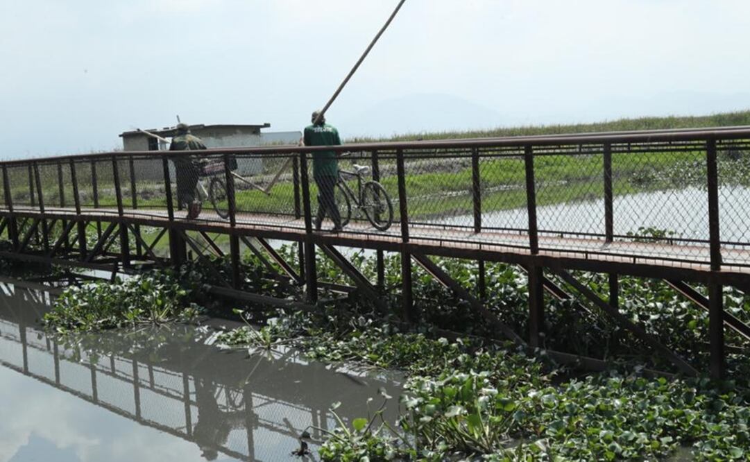 Foto: Jorge Alvarado / EL UNIVERSAL