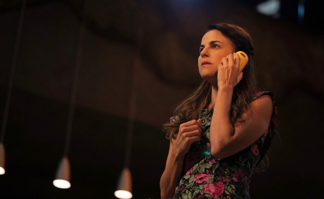 Foto: Cortesía Alejandra Ambrosi