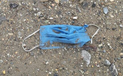 PT urge a elaborar un plan nacional de manejo de residuos sanitarios por la pandemia de Covid