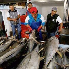 EU gana batalla a México sobre el etiquetado de atún