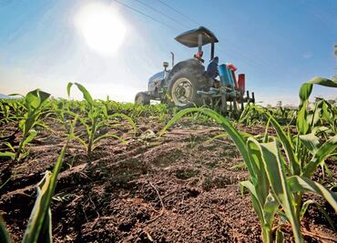Convocan a foros de análisis del Plan Nacional de Desarrollo