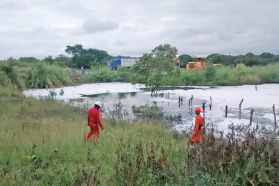 “El ganado está bebiendo el agua con gasolina”