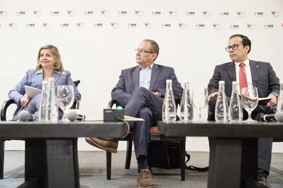 Revisar TLCAN no resuelve el déficit de EU, afirma la SE