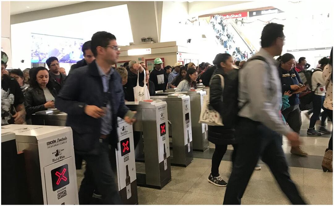 Tren Suburbano. Foto: Especial