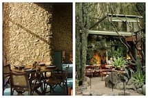Los 7 nuevos restaurantes con una estrella Michelin en México en 2026