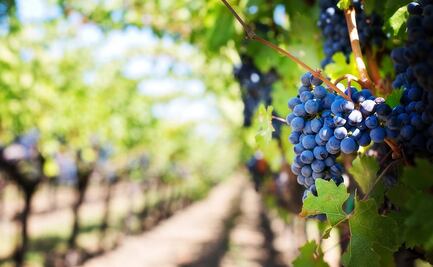 Nuevas tierras… ¡A la vista!