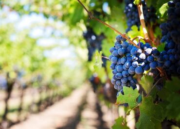 Nuevas tierras… ¡A la vista!