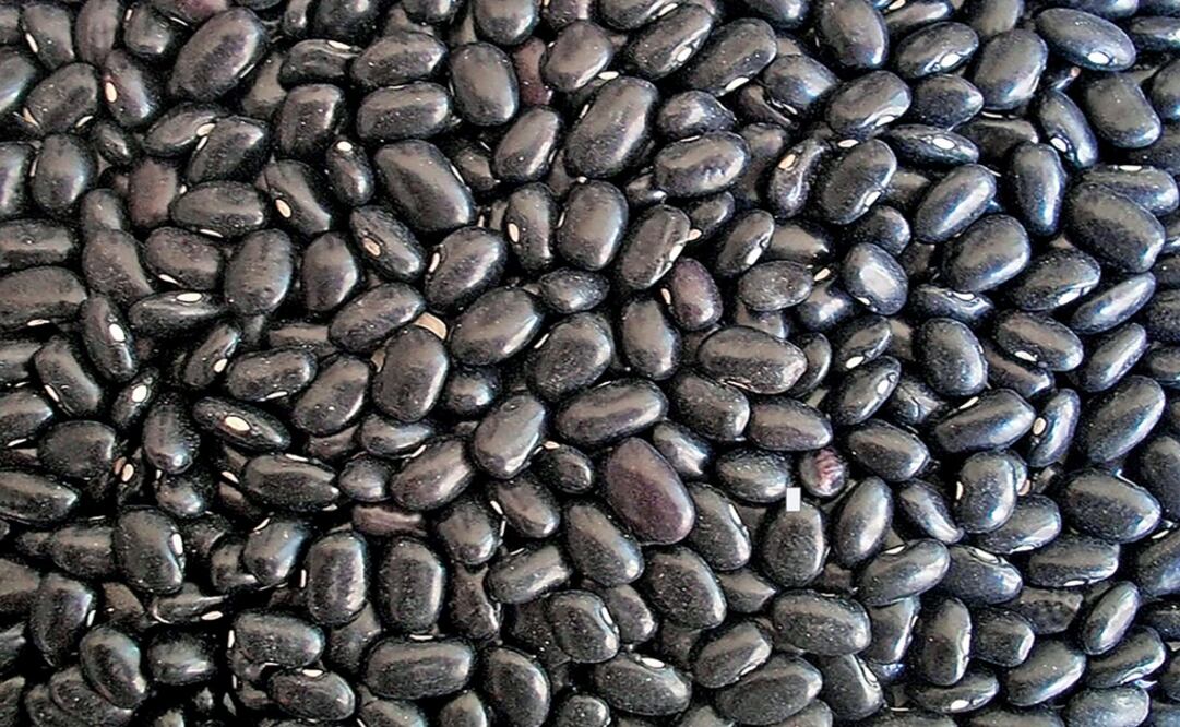 Frijol se mantiene almacenado por desplome de precios. Foro: ARchivo/ EL UNIVERSAL