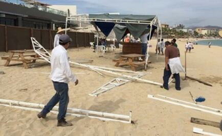 Retiran restaurante en Baja California por invadir zona de anidación de tortugas