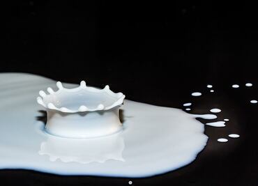 Conoce el alimento con más calcio que la leche, ideal para aumentar las defensas