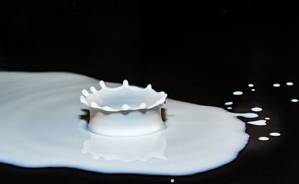 Conoce el alimento con más calcio que la leche, ideal para aumentar las defensas