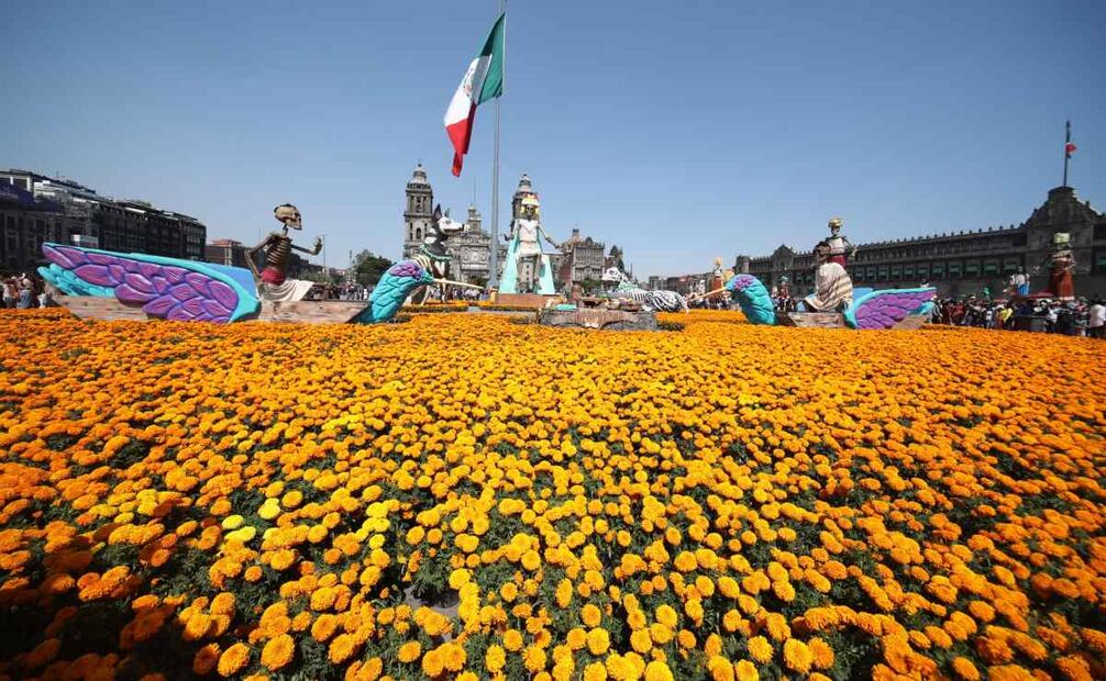 Mega Ofrenda del Zócalo de la CDMX luce más de 100 mil flores de cempasúchil. (26/10/25) Foto: Especial