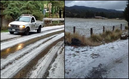 Cae nieve ligera en el Ajusco