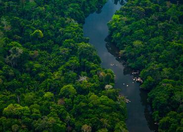 La historia del explorador famoso que desapareció sin dejar rastro en la selva amazónica