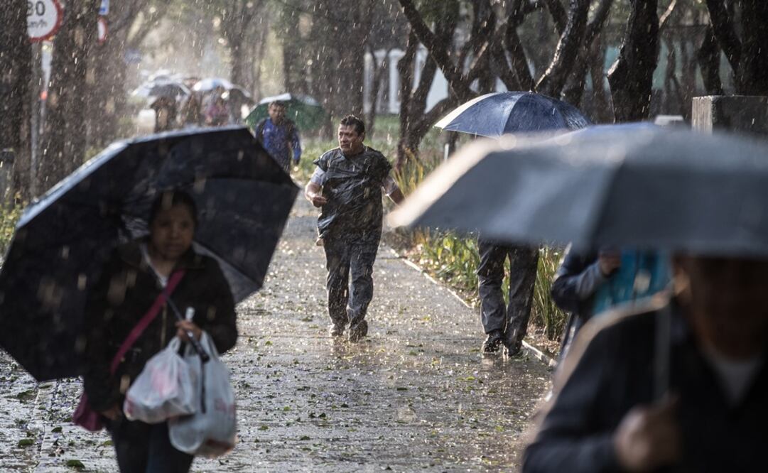 El Servicio Meterológico Nacional pronosticó para la capital una temperatura máxima de 26 a 28 grados centígrados (FOTO: GERMAN ESPINOSA /EL UNIVERSAL)