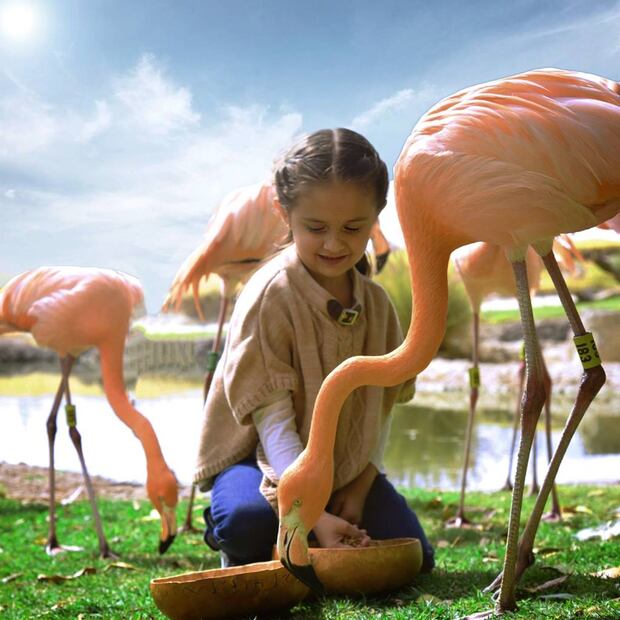 Foto: Africam Safari