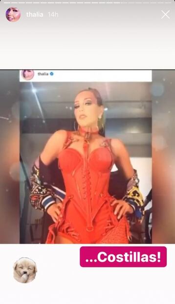 Thalía presume su cintura de avispa "sin costillas"