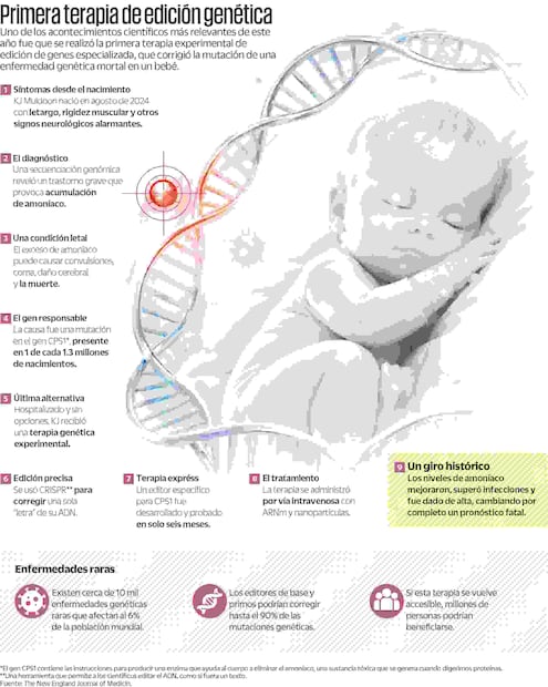 Infografía: Elaboración propia