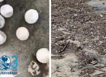 "Narda" destruyó 4 millones de huevos de tortuga en Oaxaca