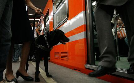 Metro instalará espacios de tránsito para protección de perros 