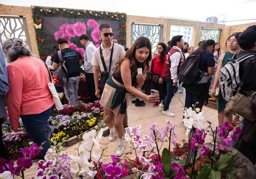 Se espera la llegada de 10 mil visitantes diarios al festival. Foto: Especial