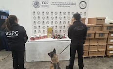 Binomio canino localiza metanfetamina oculta en dulces en Michoacán; autoridades investigan