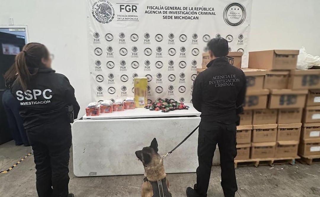 Detección de metanfetamina en servicio de mensajería en Michoacán. Foto: Fiscalía General de la República (FGR).