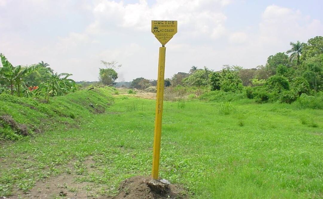 Foto: Archivo EL UNIVERSAL