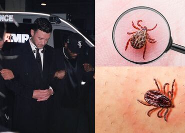 ¿Qué es la enfermedad de Lyme?; Justin Timberlake comparte su diagnóstico médico con sus fanáticos
