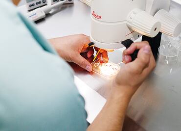 Primer humano con ADN de tres padres