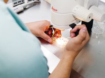 Primer humano con ADN de tres padres