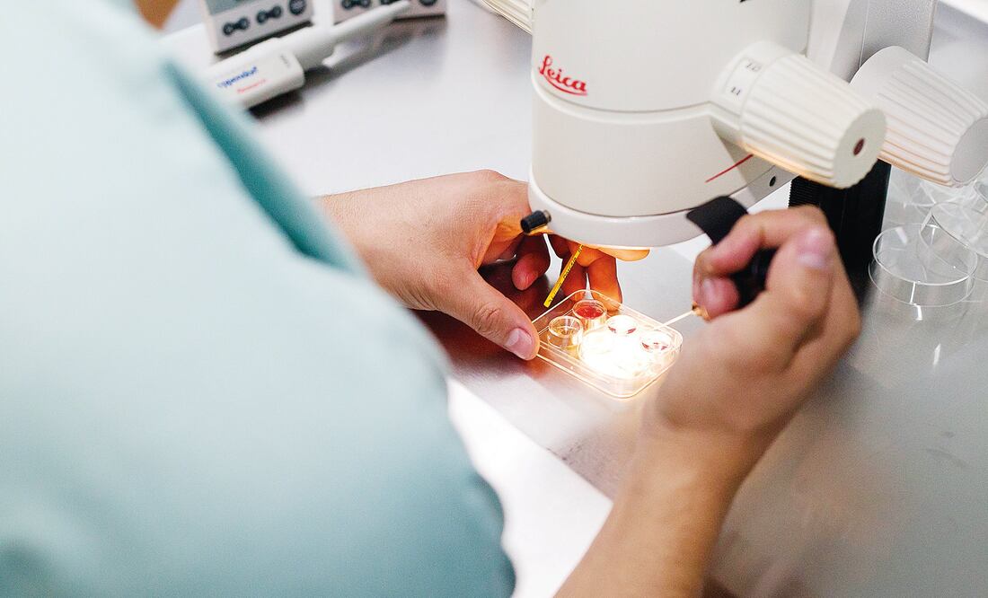 Expertos en embriología explicaron que el nacimiento de Abrahim Hassan ebería impulsar el progreso de estas técnicas en todo el mundo (ARCHIVO. EL UNIVERSAL)