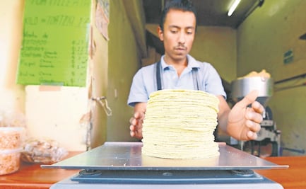 AMLO pide a productores unos meses para que no aumente el precio de la tortilla
